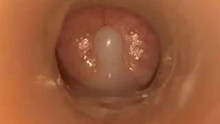 CHINESE 18 PORN CLIPS 0