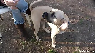 Next China Porn Videos 1